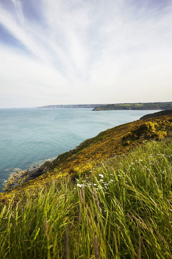 falaises plongeant dans la mer