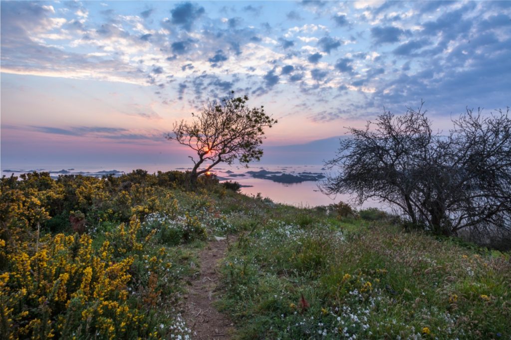 Paysage de Ploubazlanec à l'aube