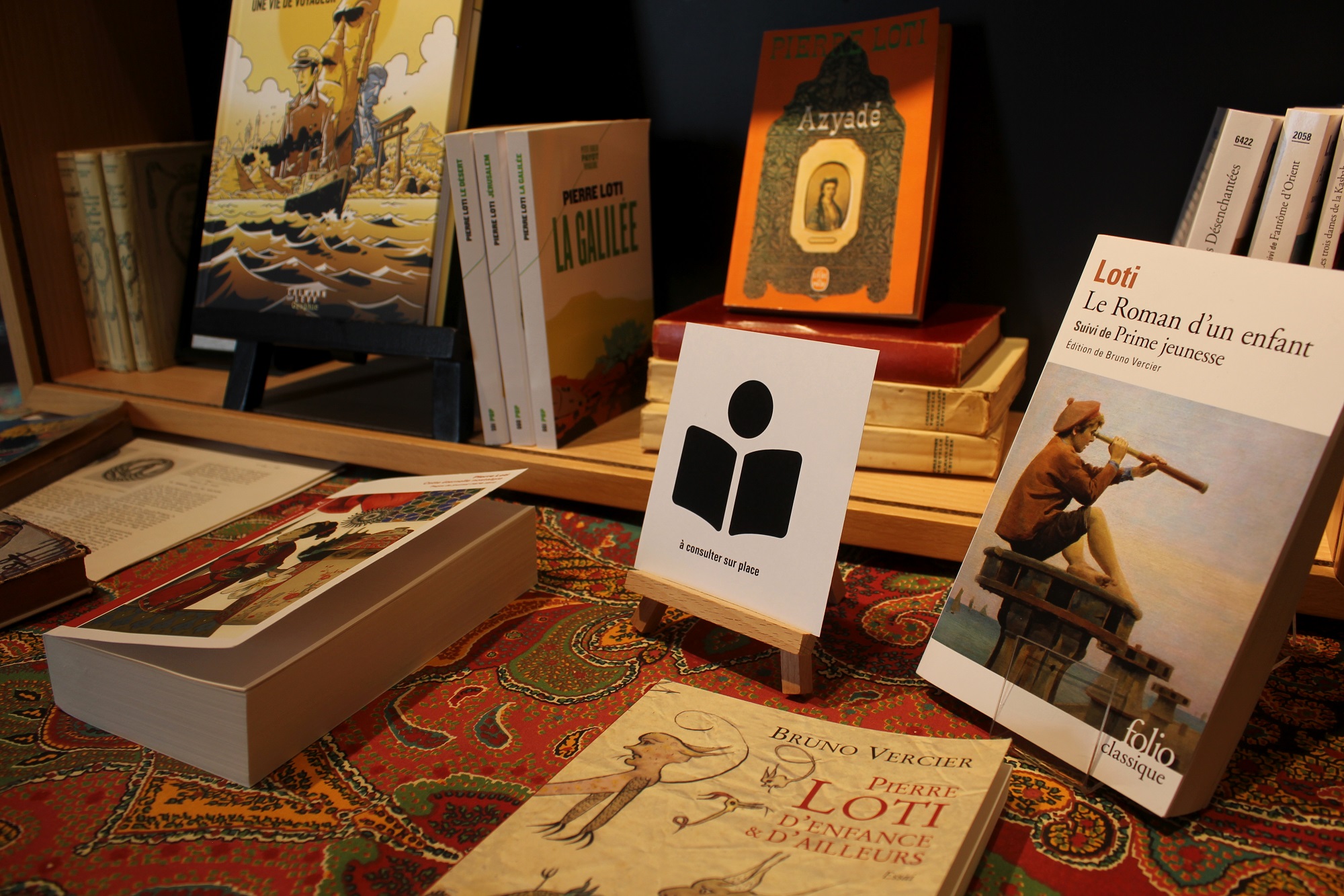 Livres de Pierre Loti disponibles à la consultation dans l’exposition Livres de Pierre Loti disponibles à la consultation dans l'exposition