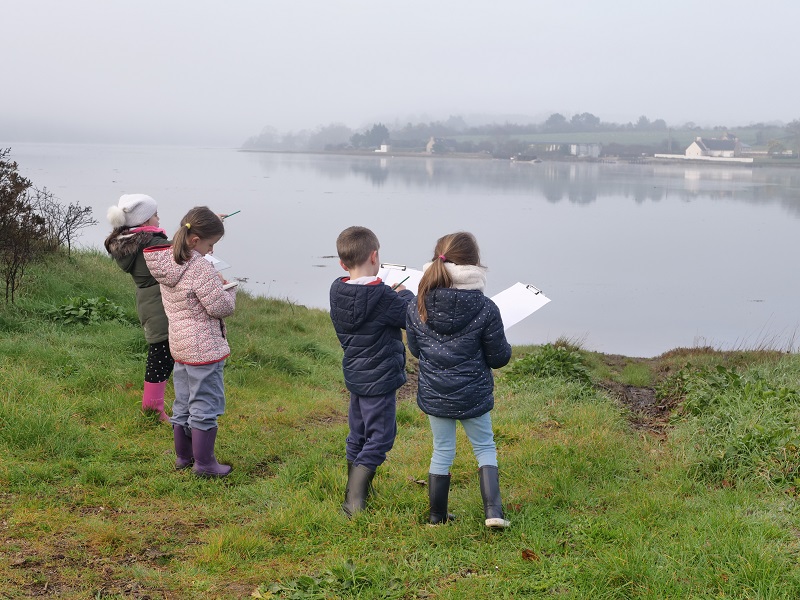 Les élèves en observation sur la rive du Trieux.