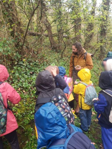 En balade autour de l'école pour repérer les plantes qui serviront à la teinture des tissus de la voile.