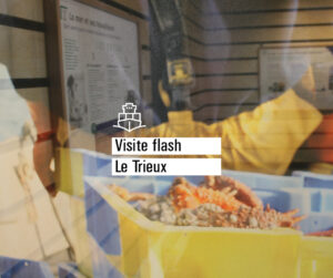 Une tenture représente un pêcheur et des crustacés dans l'exposition