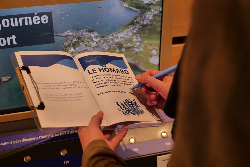 Le livret jeu pour découvrir des mots bretons sur le thème de la pêche dans l'exposition Rivages partagés.